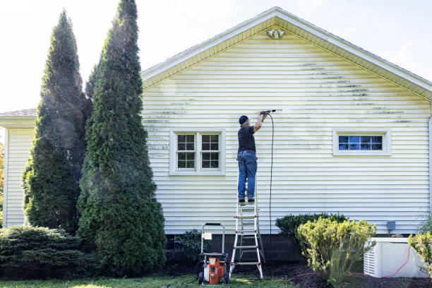 Best Exterior Home Cleaning  in Farmersville, CA